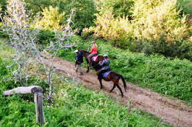 horseriding north evia island