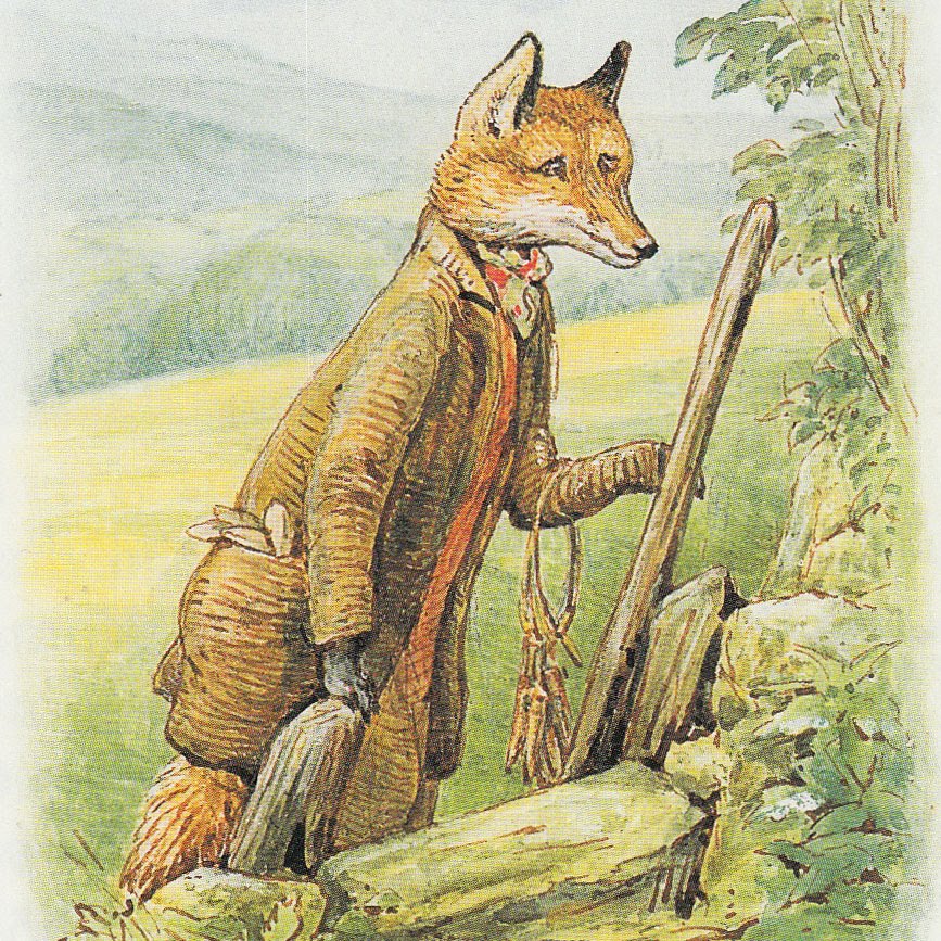 beatrix potter drawings beatrix potter drawings