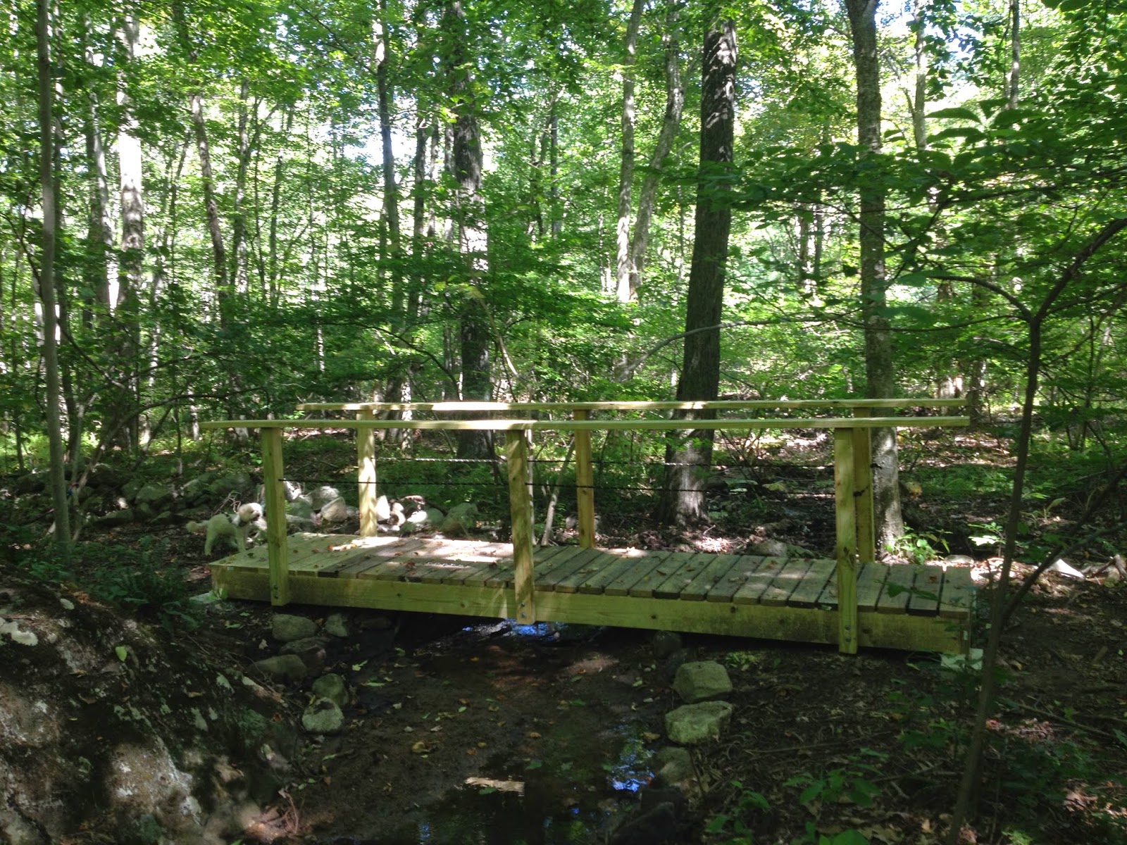 Prospect Land Trust...