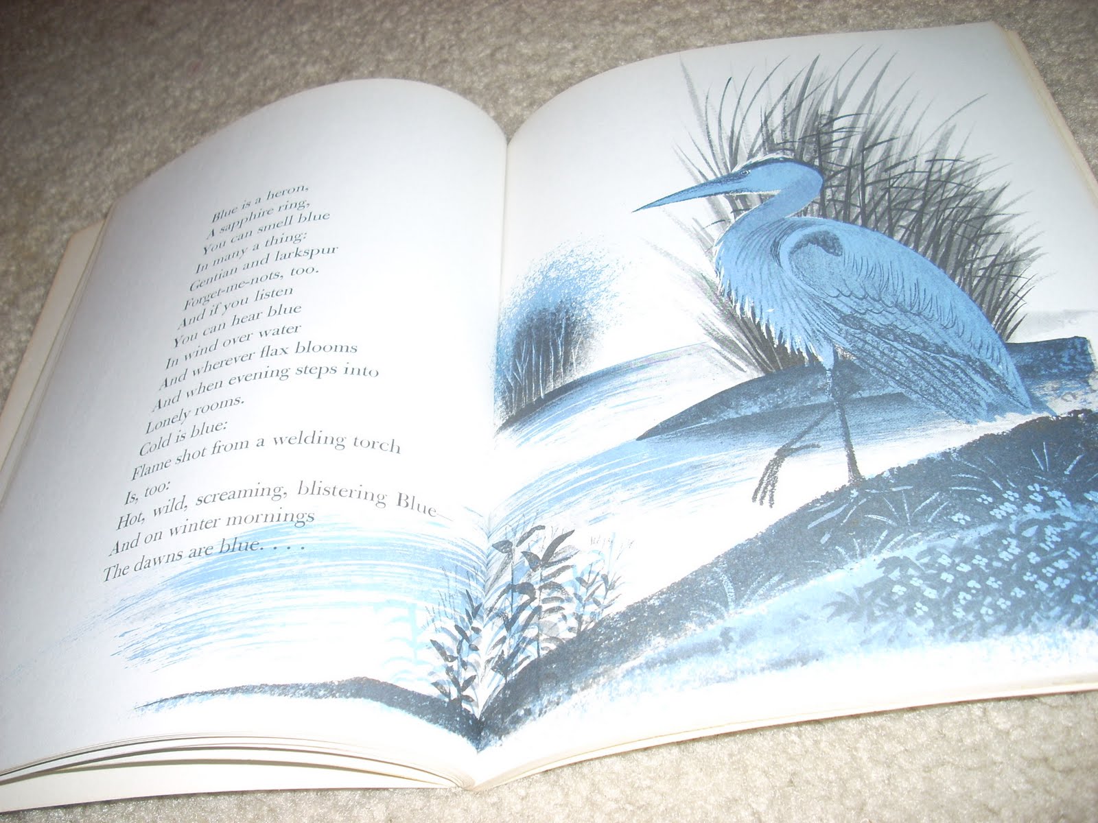 Hailstones And Halibut Bones Poems