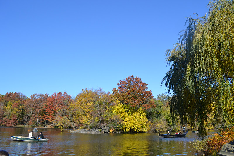 Color A Day In Ny セントラルパークの紅葉