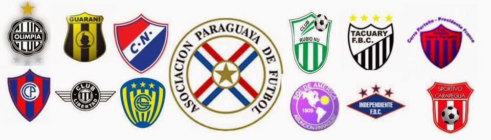 World Football Badges News Paraguay First Division 2014