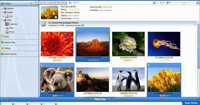 Canon digital photo professional for mac download