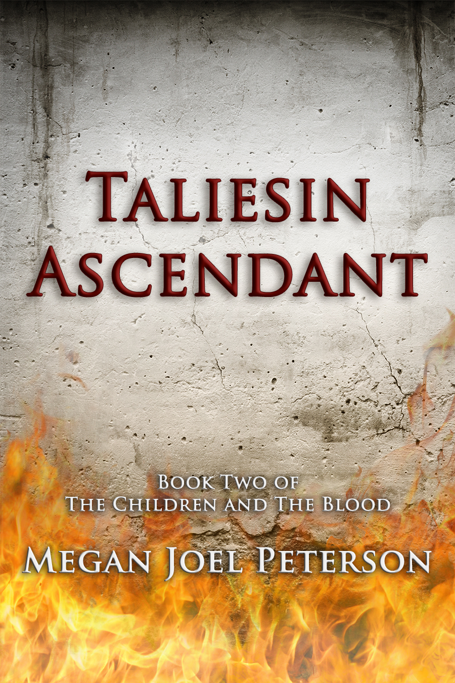 The Ascendant by Drew Chapman The Ascendant by Drew Chapman