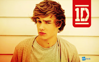 Liam Payne One Direction Logo HD Wallpaper