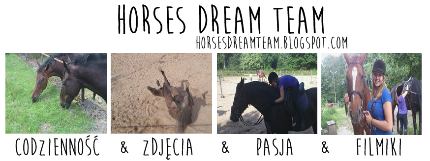 Horses Dream Team