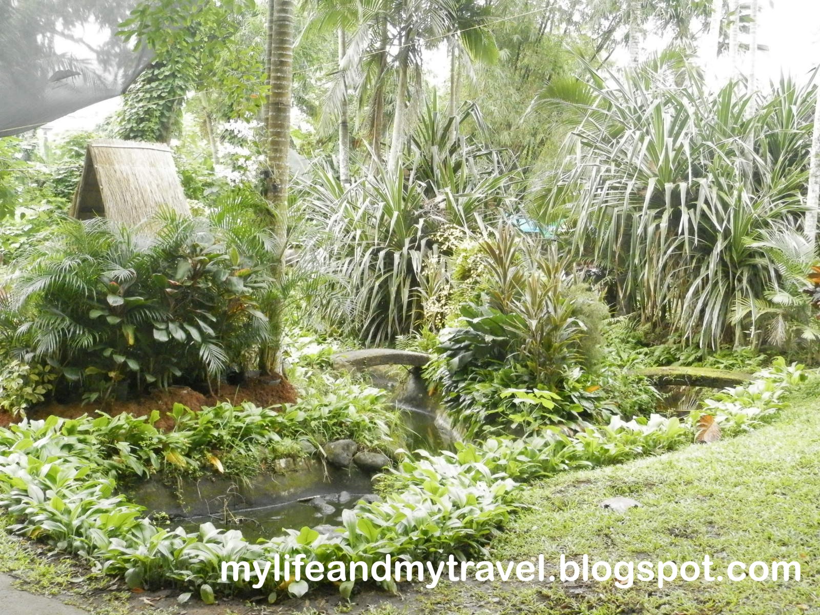 My Life and My Travel Los Baños Flower and Garden Show Oct. 5 14, 2012