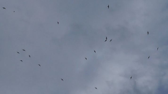 AVIONES EN CASTILLO Y LA CUEVA DE LA  MONJA