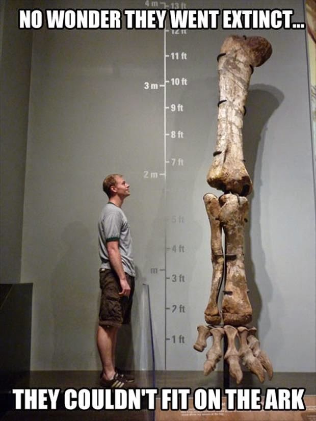Creationism Ark Dinosaur Extinction ~ irReligious.oRg