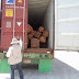 Profepa asegura 70 piezas de madera en la carretera a Progreso