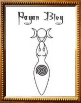 Premio Pagan Blog by Shani - Grazie 1000 di Cuore!!