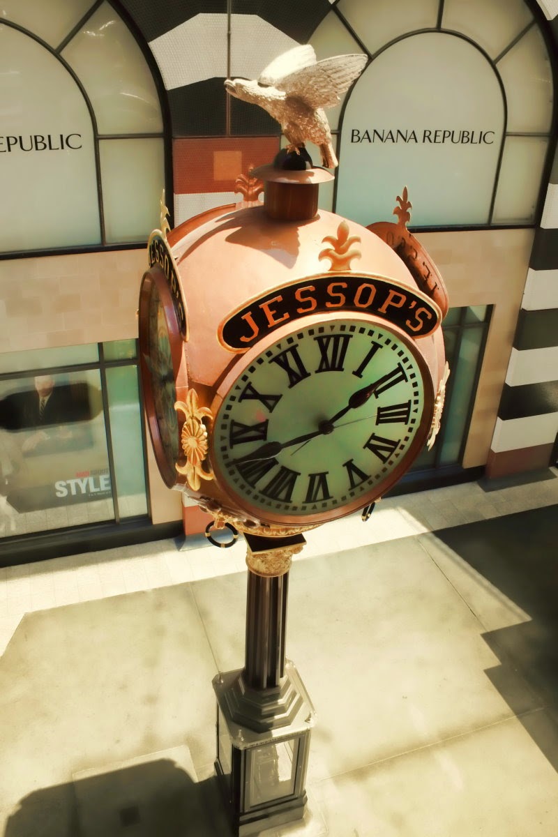 Screen Doors and Fly Swatters Time and an Old Brain