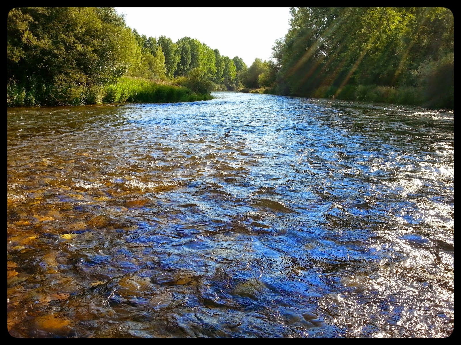 HISTORIA DE UN DÍA DE PESCA EN CIFUENTES DE RUEDA, RÍO ESLA, hacer click