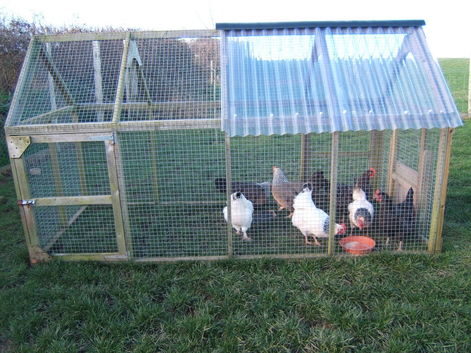 Bellecross Hens Chicken run sizes