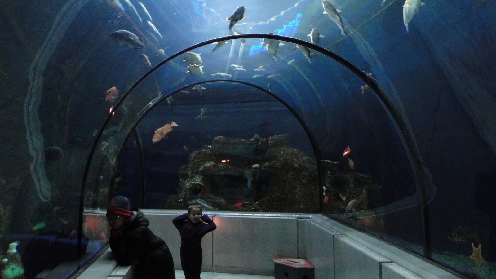 MONTREAL, CANADA QUEBEC AQUARIUM DE QUEBEC