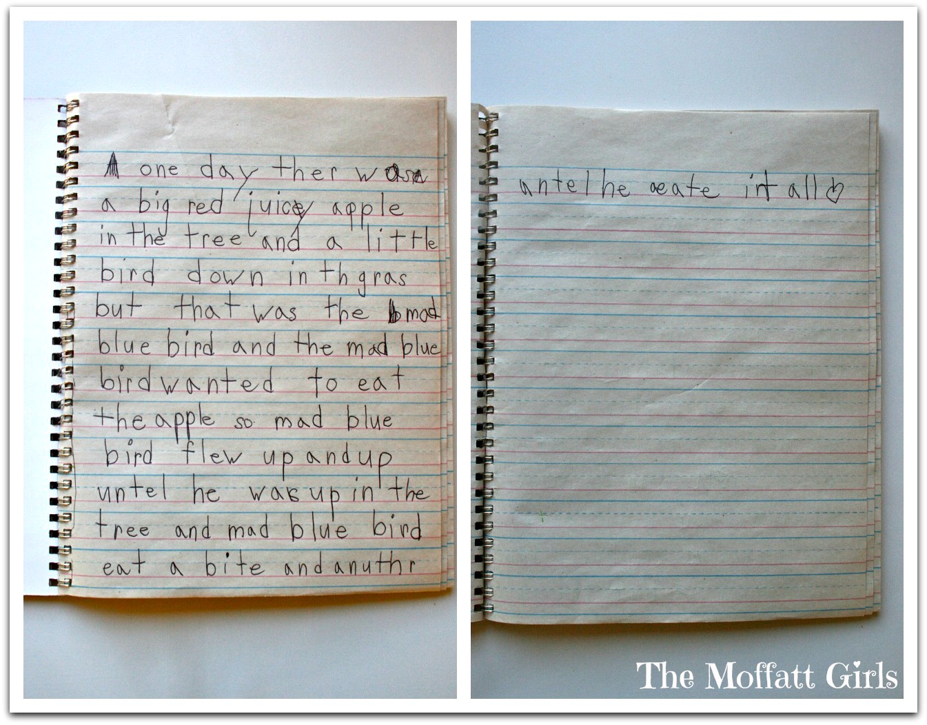 Daily Journal Prompts for March!