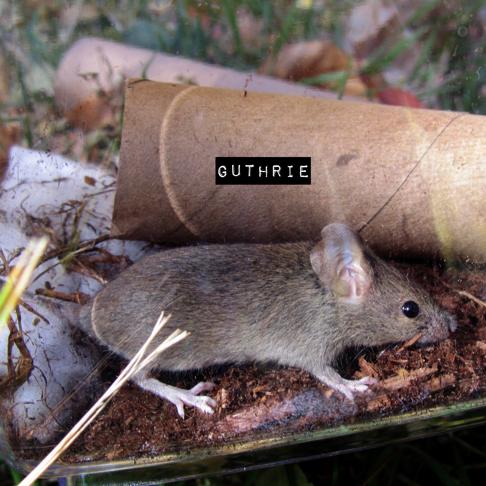 Best Friends Forever Life October 2012