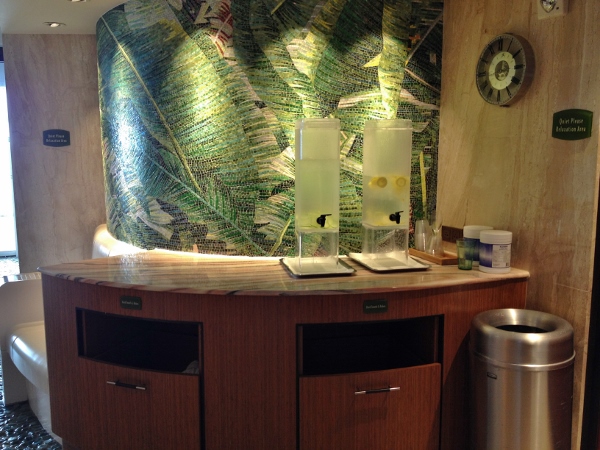 Rainforest Room Disney Dream Price Site Www Disboards Com Rainforest Room Disney Dream Price Site Www Disboards Com