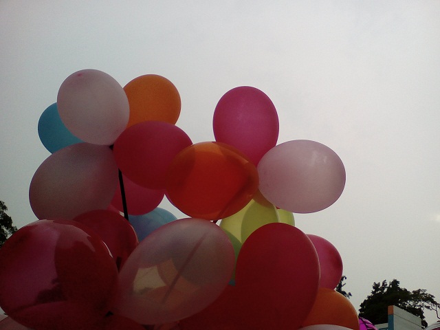 Primo F6 review Camera Sample 2