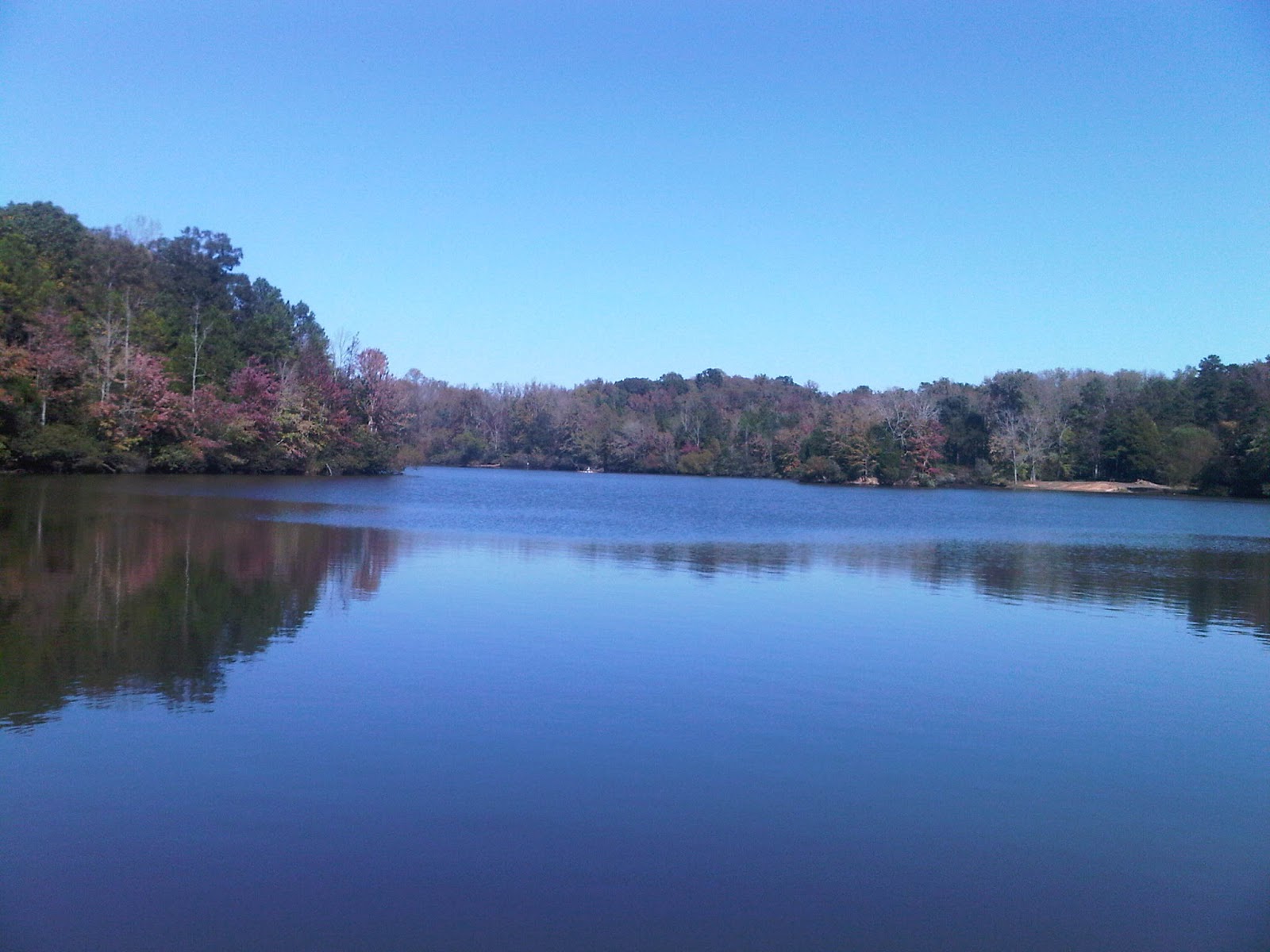 NC BACKCOUNTRY A DAY HIKE AT ANDREW JACKSON STATE PARK