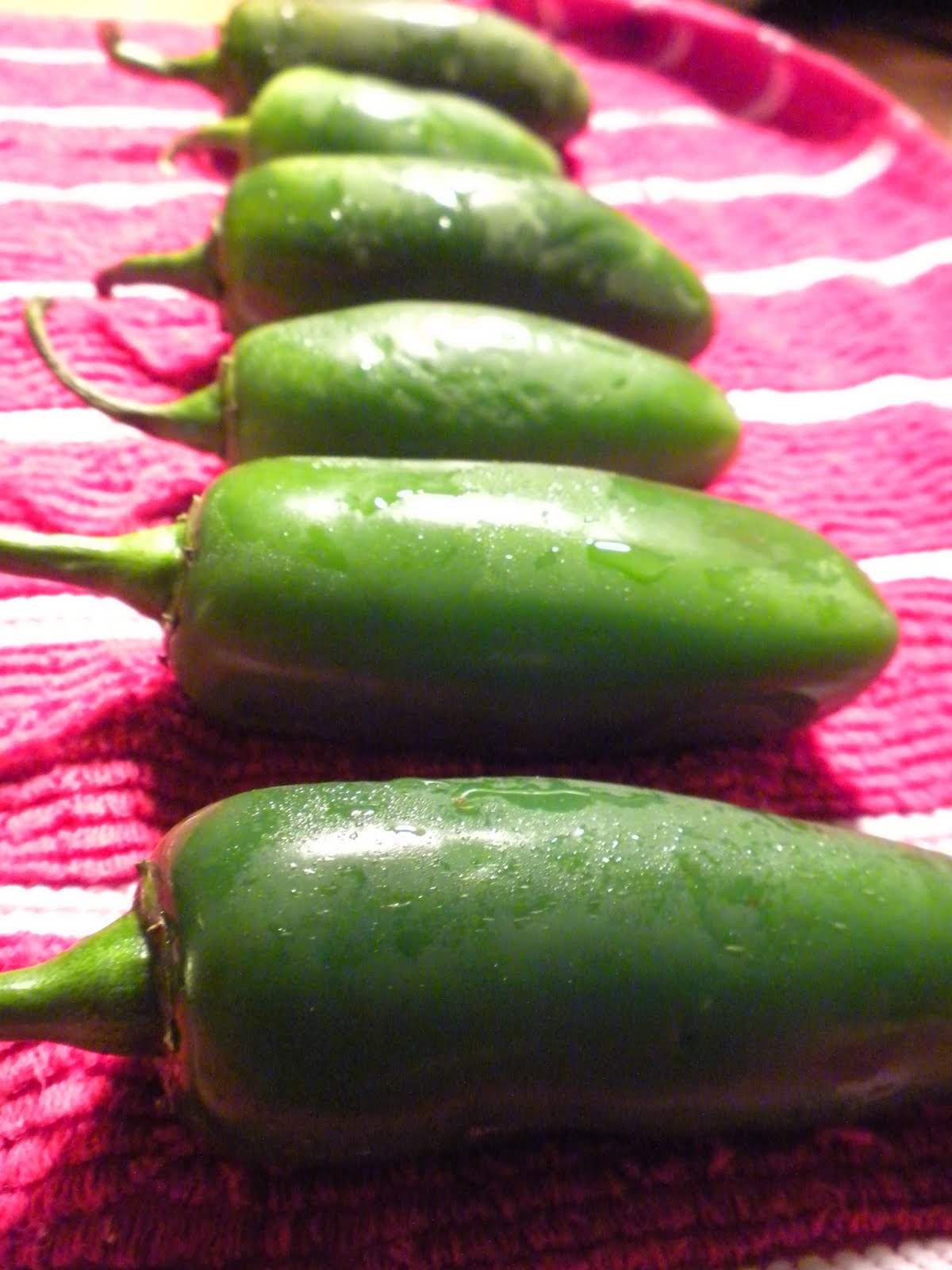 Sausage and Herb Cheddar Stuffed Grilled Jalapenos Cuts Recipes for