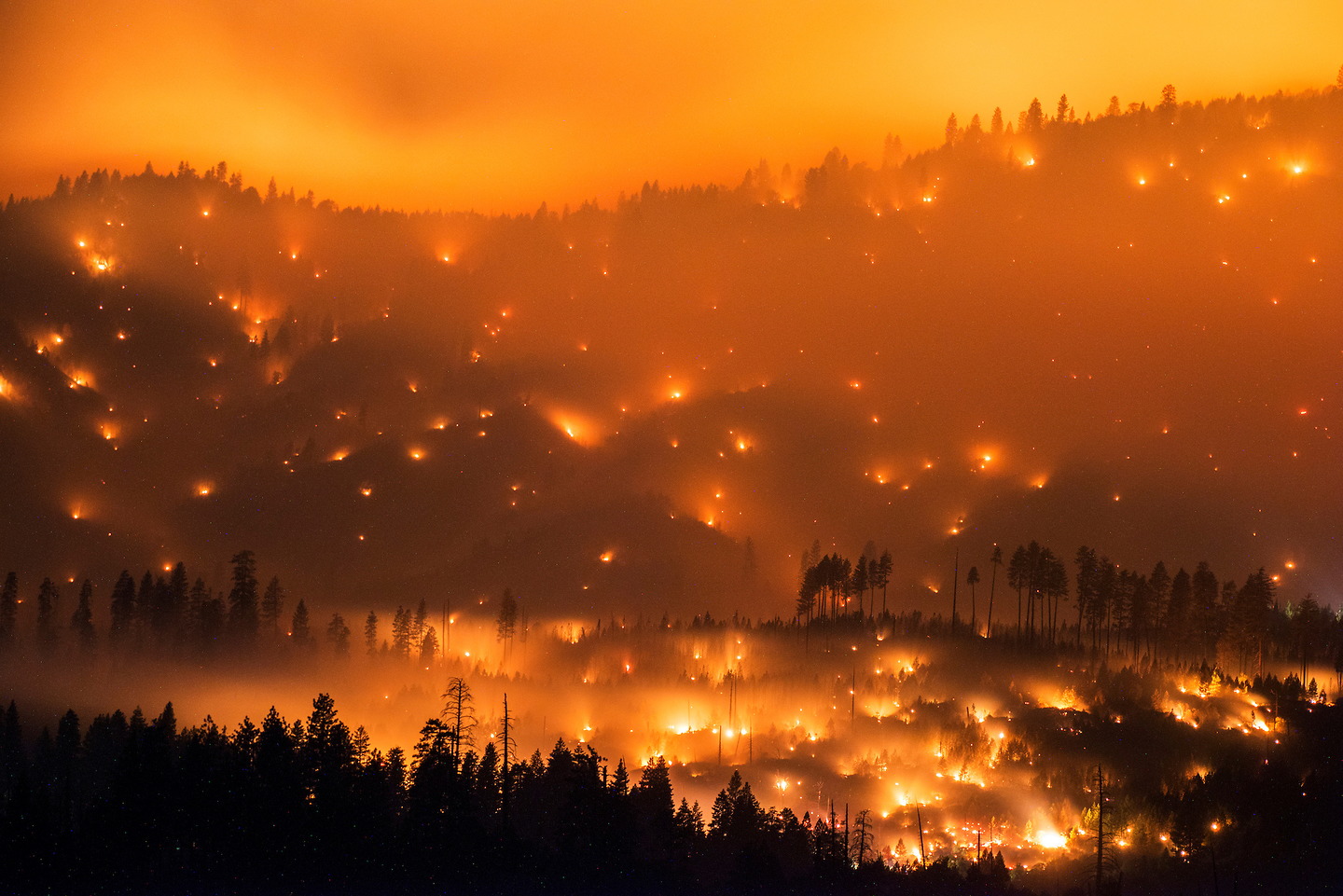 bensozia: Stuart Palley, California Wildfires bensozia: Stuart Palley, California Wildfires