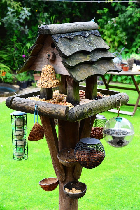 how to invite wildlife into your garden how to invite wildlife into your garden