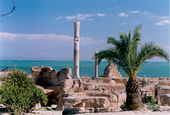 CARTHAGE,  Tunisie