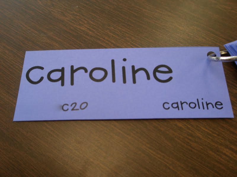Elementary Organization computer login cards.