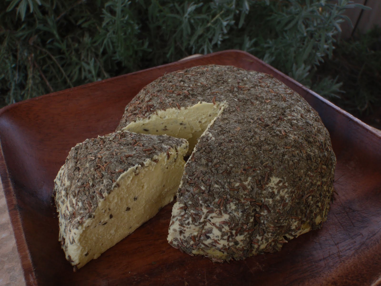 Raw Harmony Raw fermented nut cheese