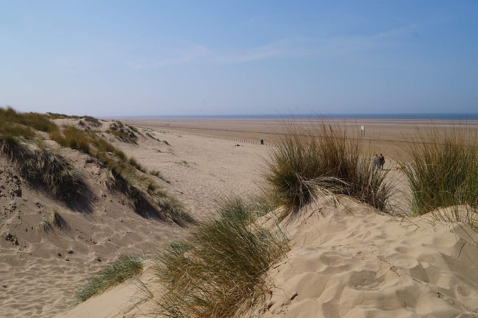 Mad Hatters Tea Pot Ainsdale, Southport Maria Rose