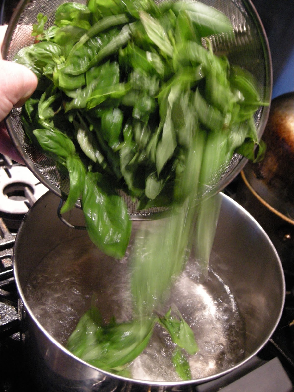 Kitchens Are Monkey Business Rosie Makes A Basil Espuma.