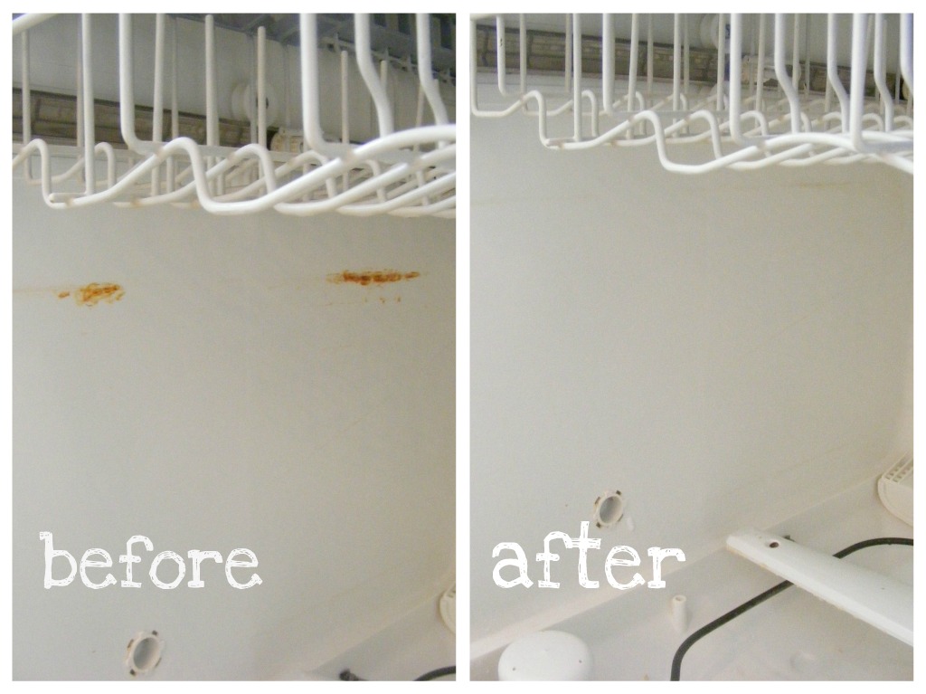 How To Clean Your Dishwasher (without gagging too much) The Complete