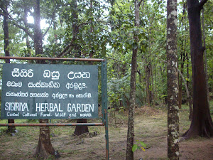 Herbal Gardens in Sigiriya National park.