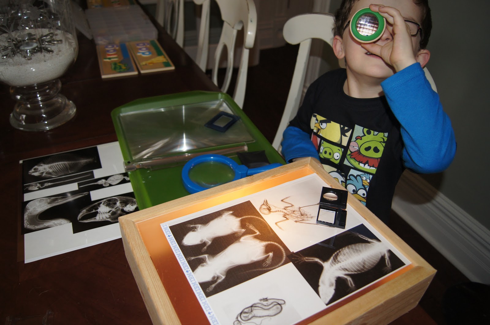 DIY Light Box & XRays, Science For Kids At Home "Making Montessori Ours"