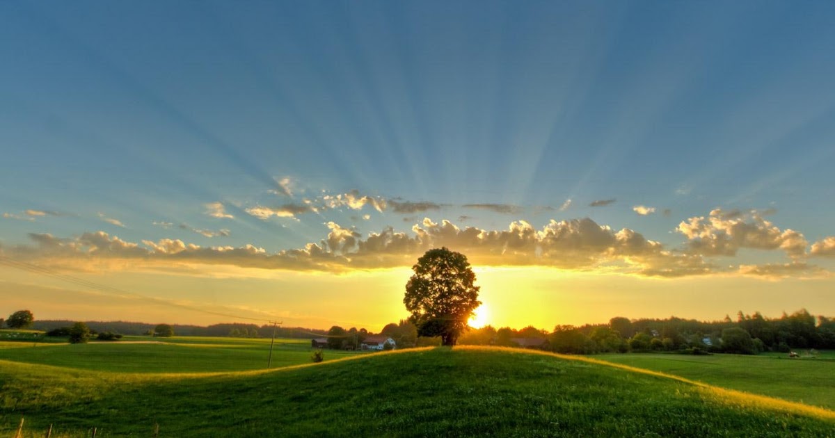 Bing Wallpaper: June 20 2013