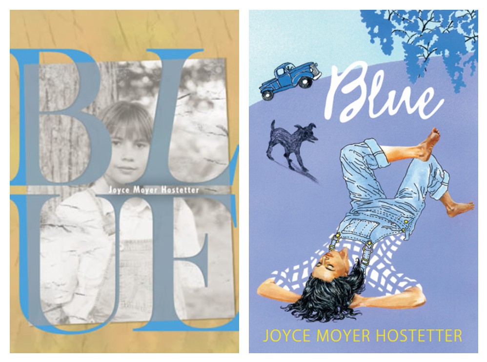 The Children's War UPDATE Blue by Joyce Moyer Hostetter