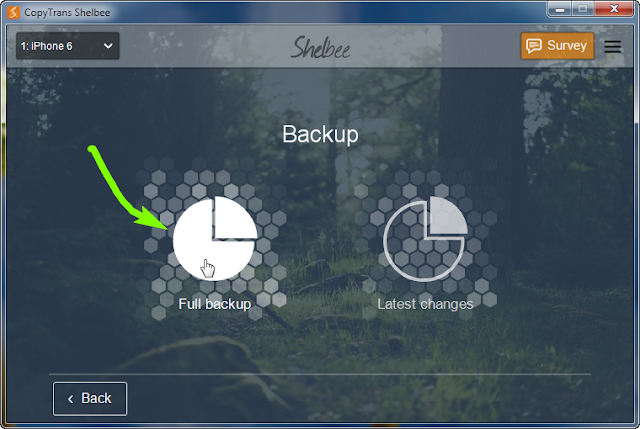 button for full backup in main program window