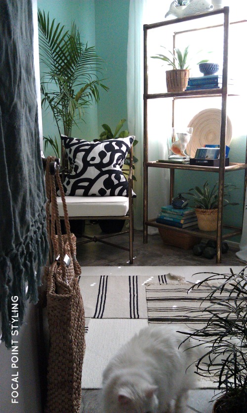 FOCAL POINT STYLING: CREATING AN INDOOR GARDEN ROOM