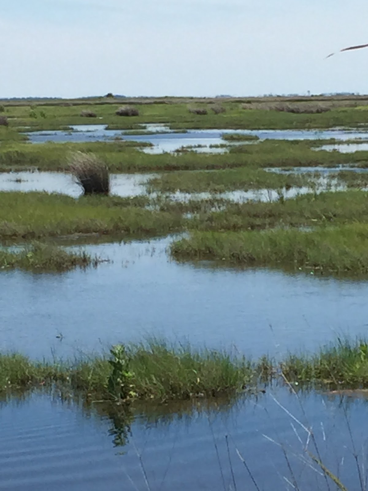 The ABCs of Maryland D is for Deal Island, Maryland