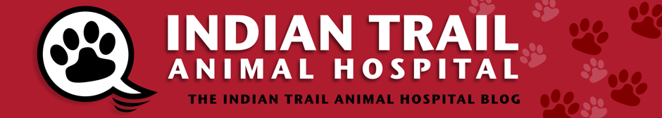 Indian Trail Animal Hospital