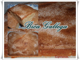 Bica Gallega
