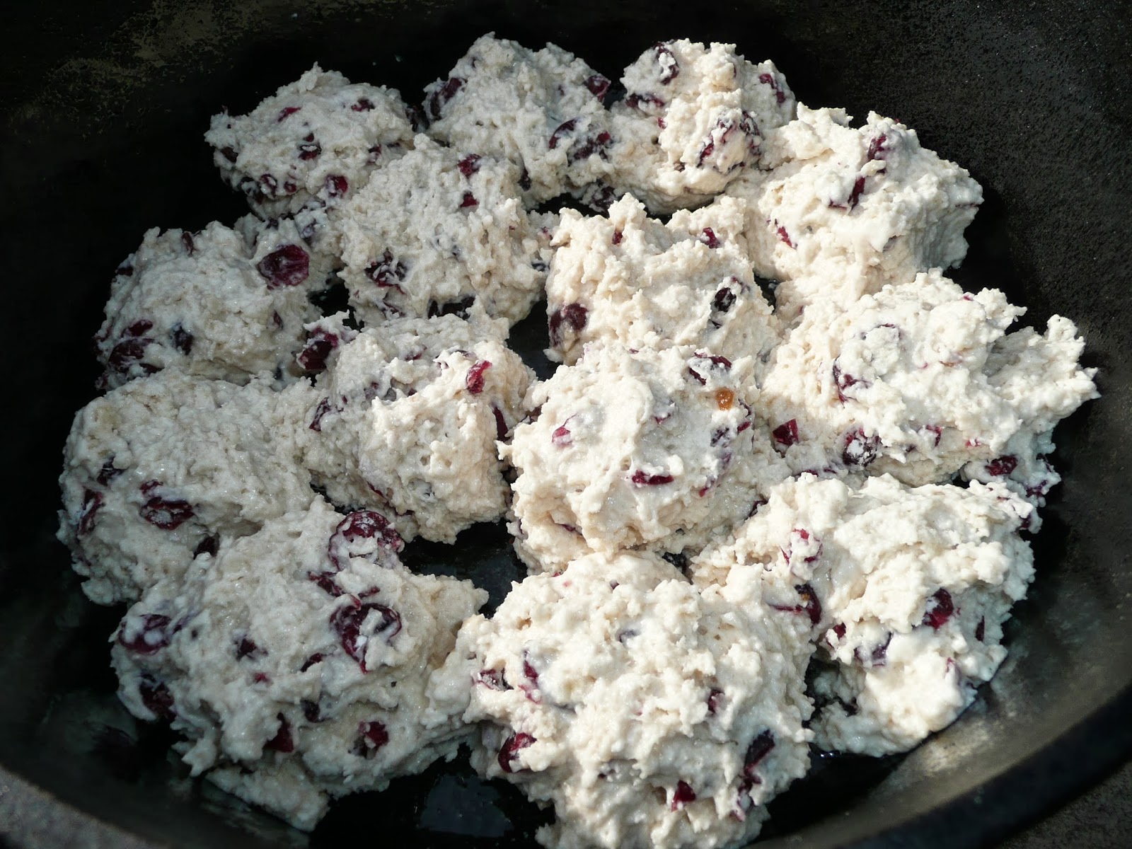 Everyday Dutch Oven Cranberry Buttermilk Biscuits