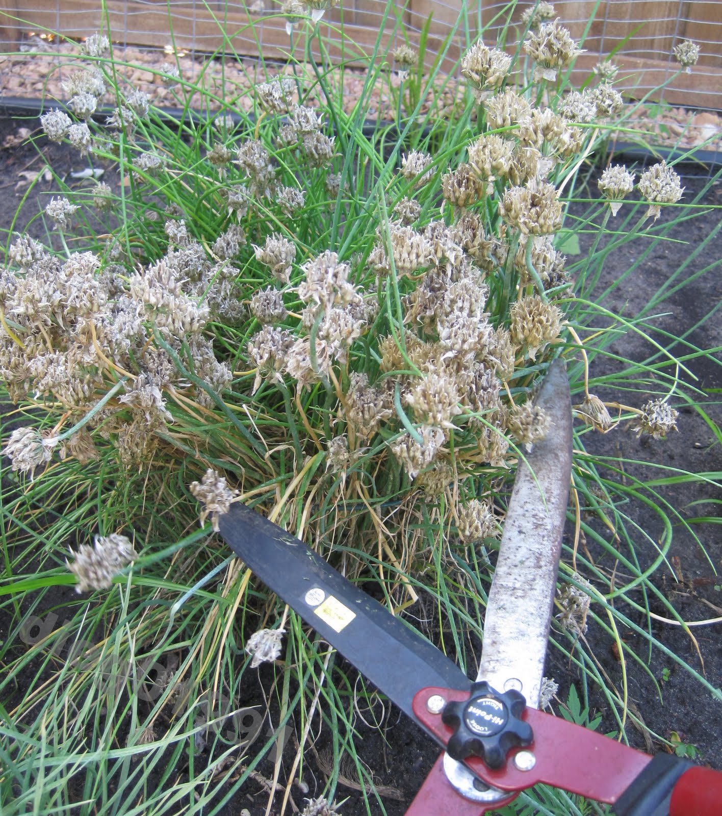 301 Moved Permanently