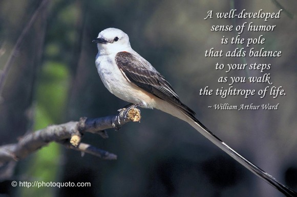 All photos gallery: bird quotes, early bird quotes sayings