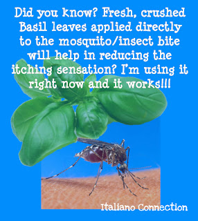 Basil Leaves stop Mosquito bite itch