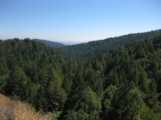 Tree-covered hillsides, as far as the eye can see.