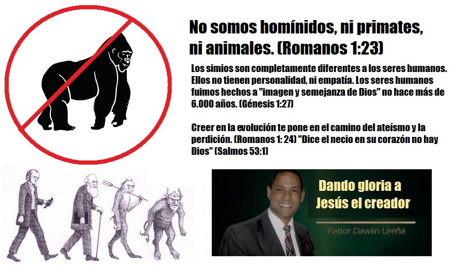 Busca chico en miami Busca chico en miami
