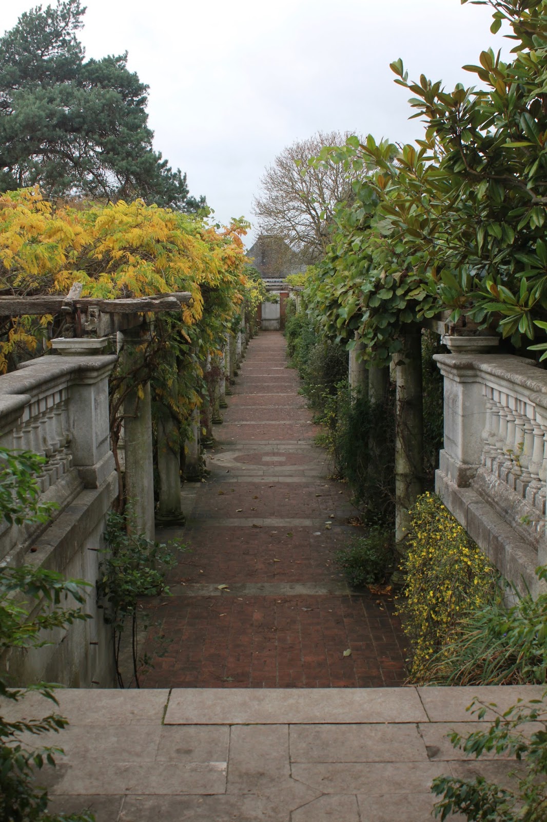 Ultimissime dall'orto: novembre 2015 Ispirazioni Giardino Scale