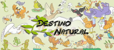 Destino Natural